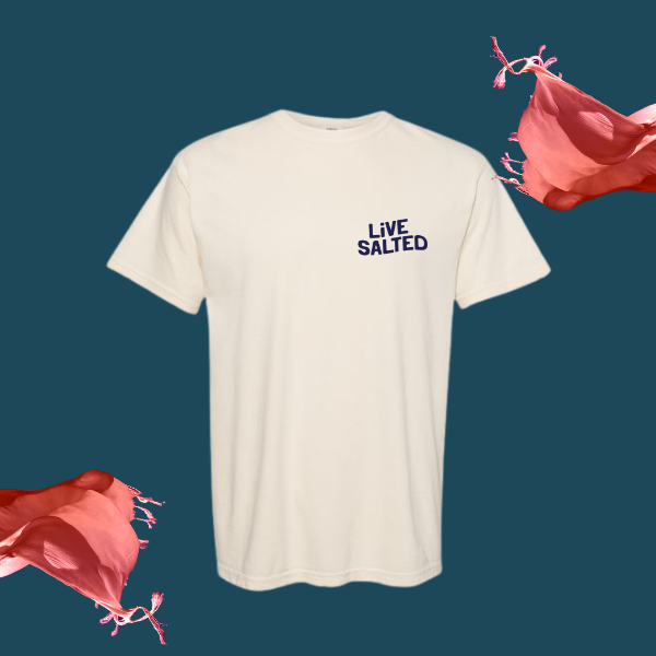 Malibu Retreat Vintage Tee — Ivory